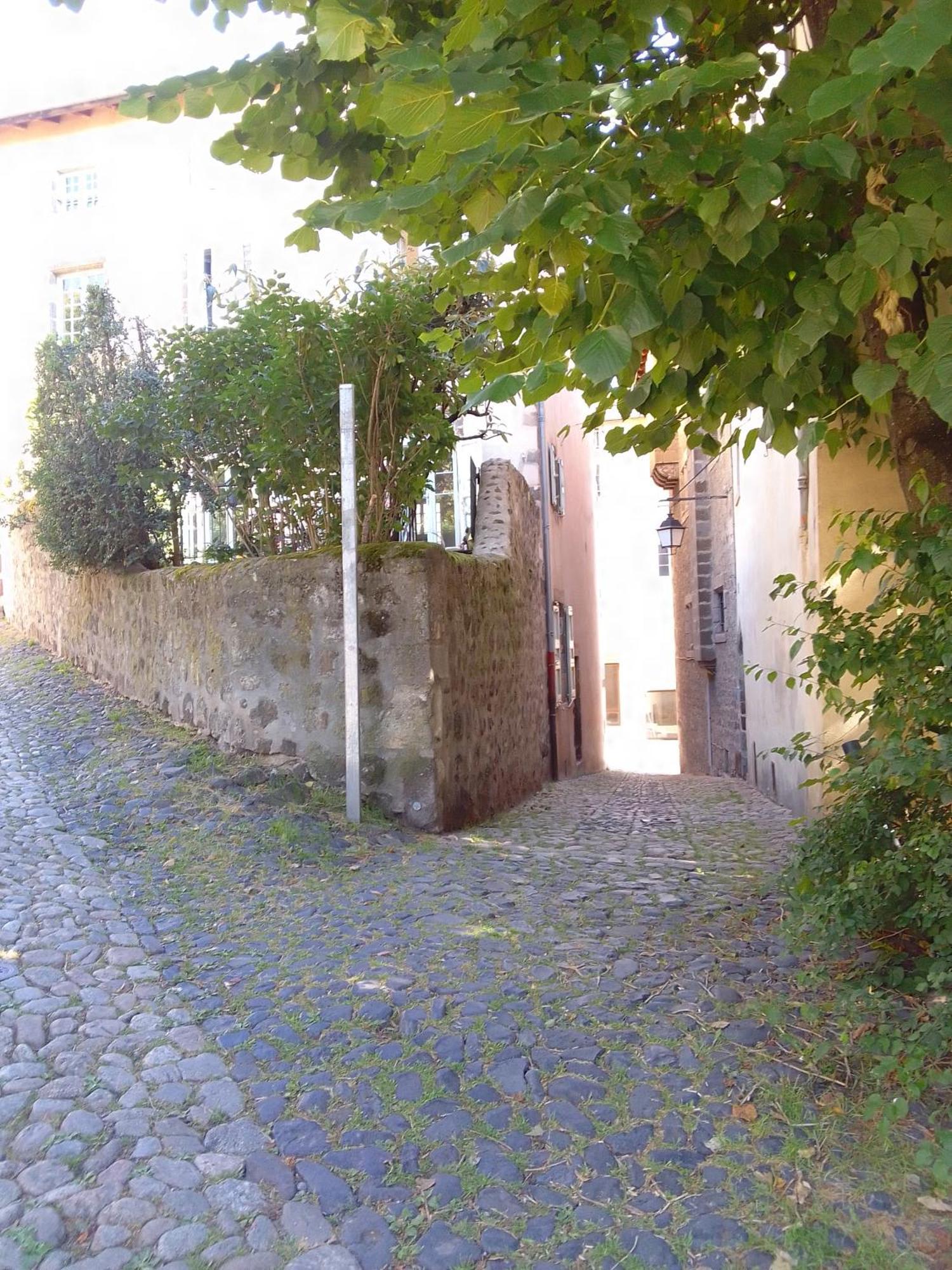 Le Relax Max Apartment Le Puy-en-Velay Ruang foto